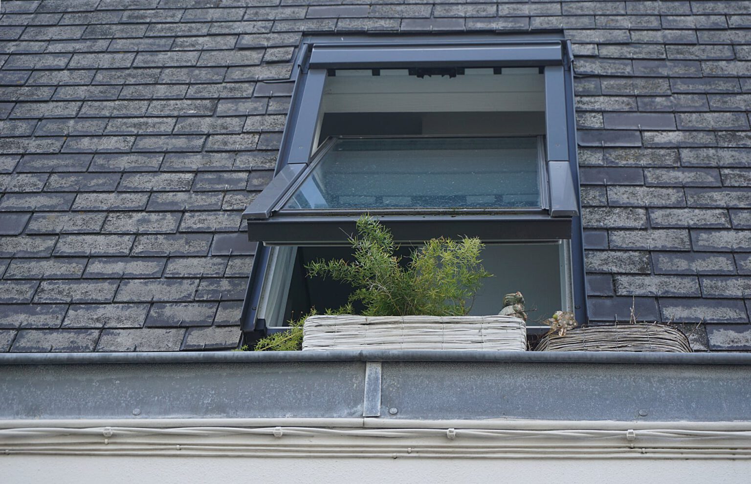 Dach Fenster Reparatur Bau4Youberlin